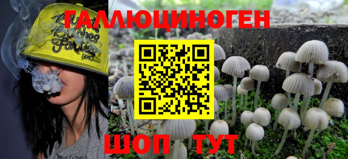 Новый Уренгой  Псилоцибиновые грибы мицелий  Вход с VPN  Галлюциногенные грибы мухоморы 